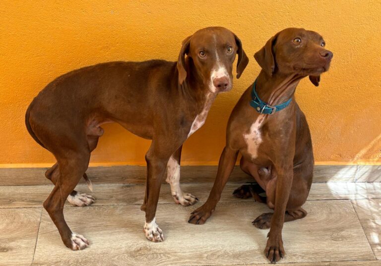 multimedia-foto95313-653-1