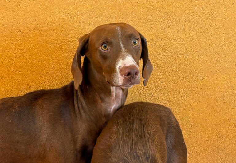 multimedia-foto95314-653-1