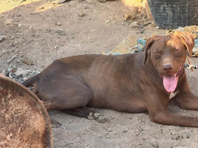 multimedia-foto95315-689-1