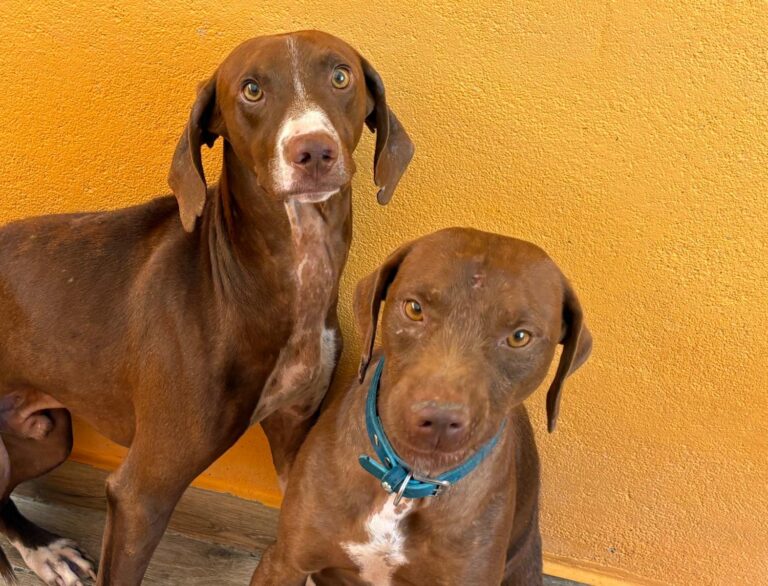 multimedia-foto95317-690-1