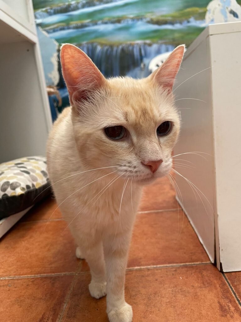 multimedia-foto95343-750-1