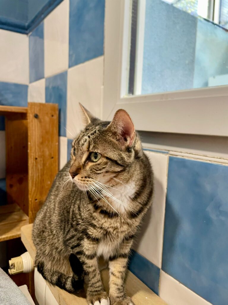 multimedia-foto95349-905-1