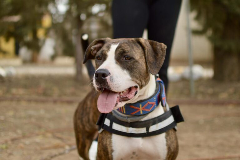 multimedia-foto95370-491-1