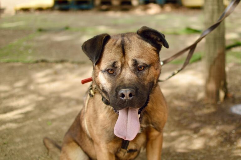 multimedia-foto95377-975-1