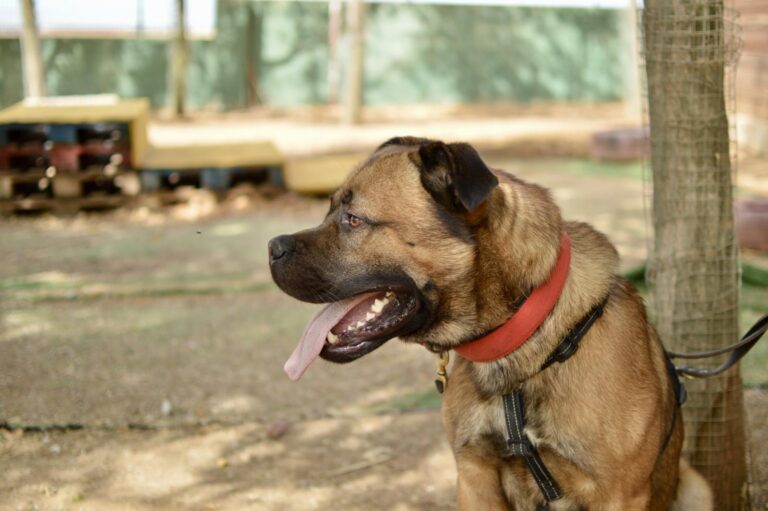 multimedia-foto95378-976-1