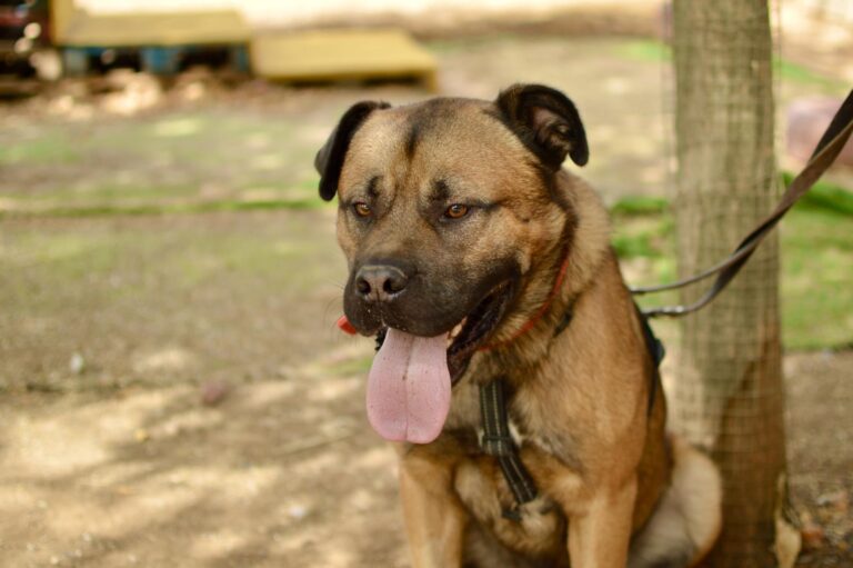 multimedia-foto95379-976-1