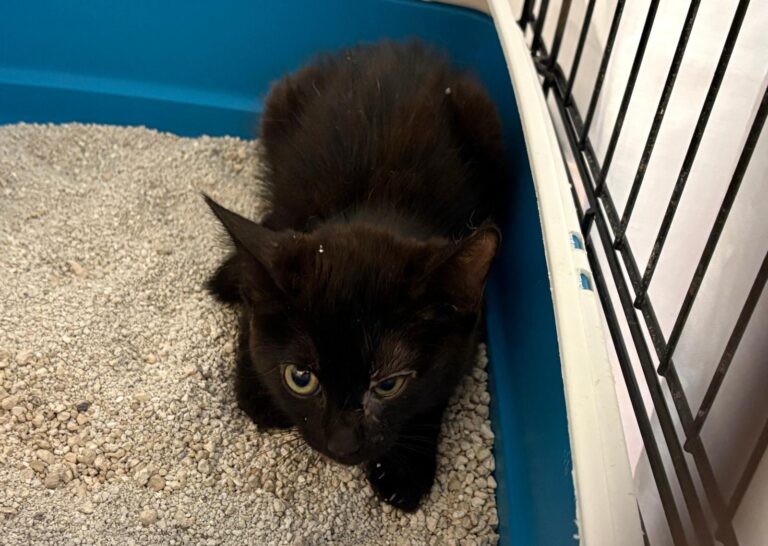 multimedia-foto95380-94-1