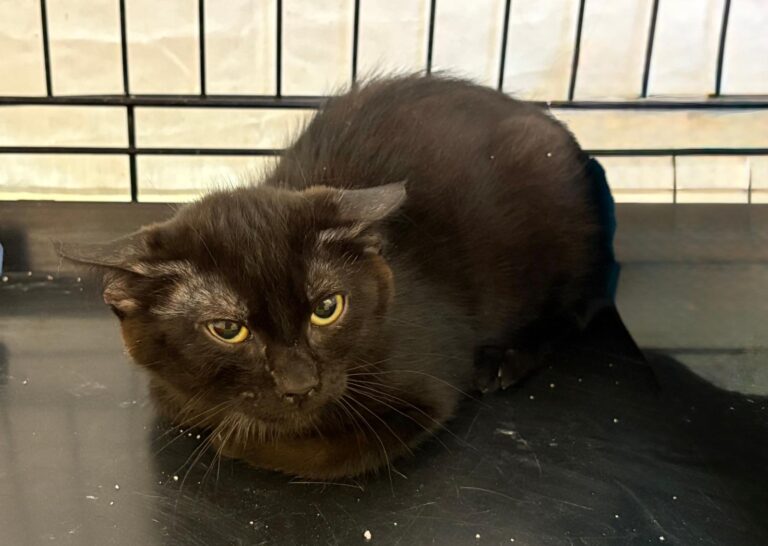 multimedia-foto95385-95-1