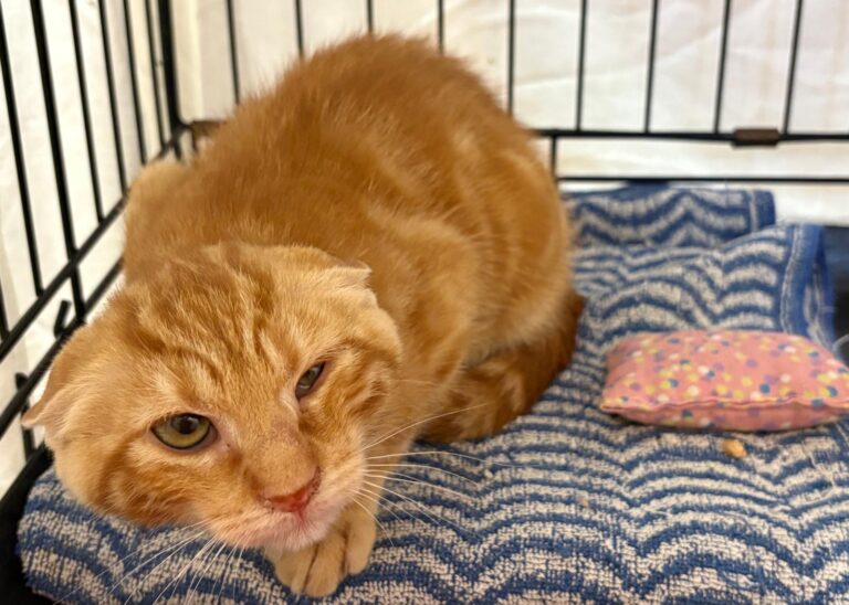 multimedia-foto95390-144-1