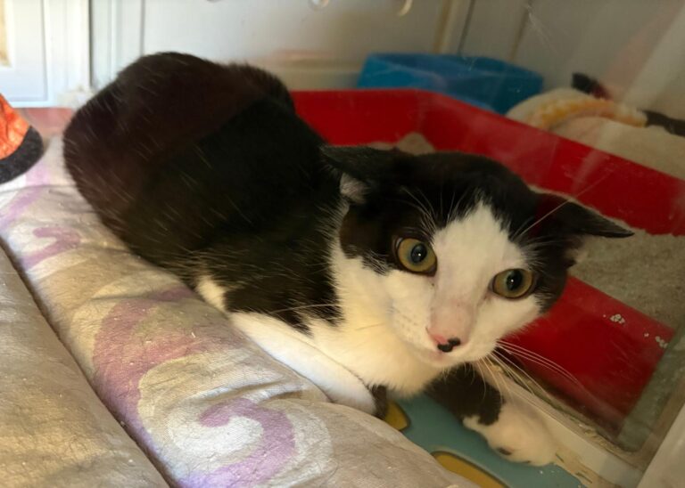 multimedia-foto95405-92-1