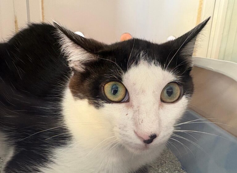 multimedia-foto95407-92-1