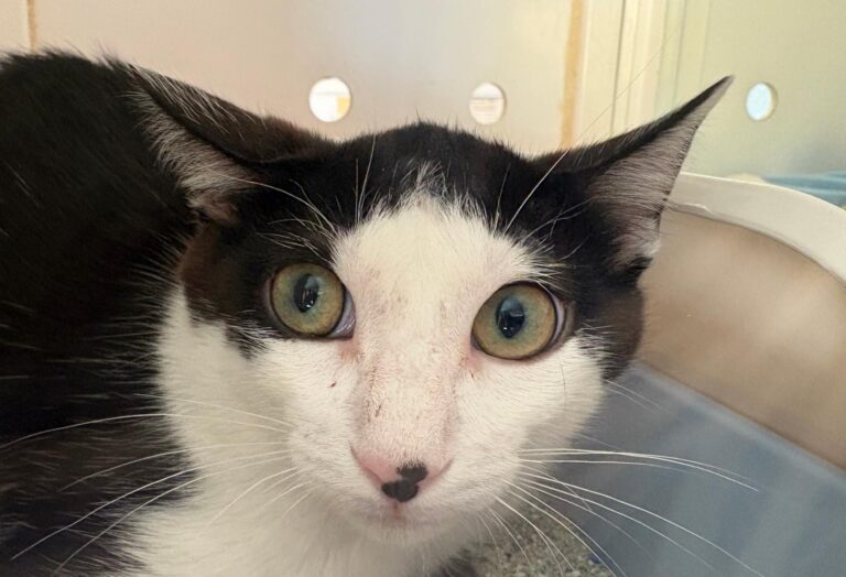 multimedia-foto95409-93-1