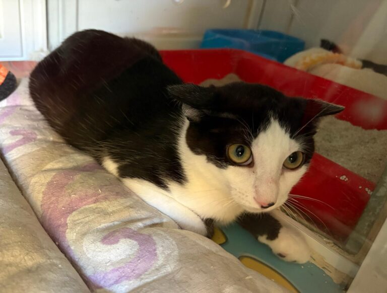 multimedia-foto95410-93-1