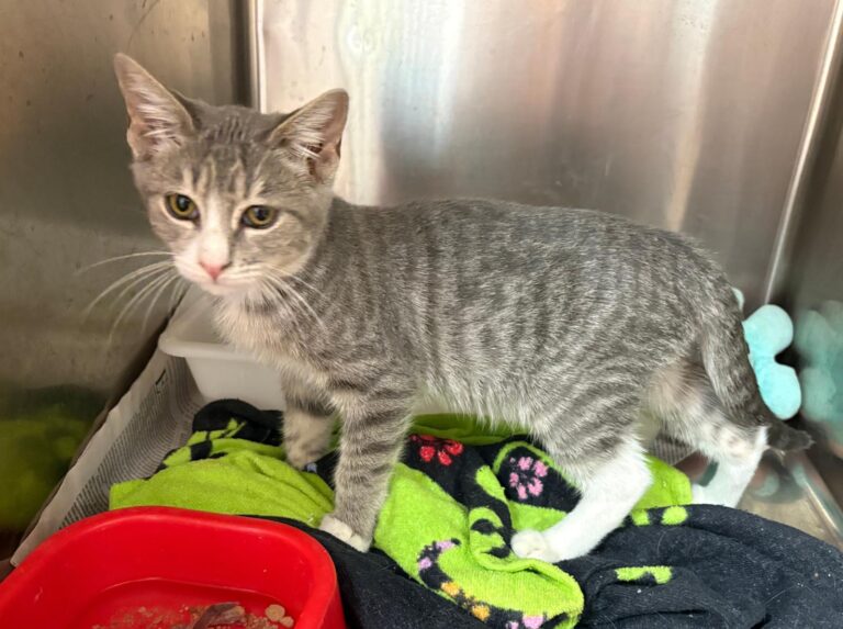 multimedia-foto95417-505-1