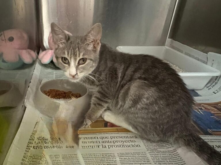 multimedia-foto95422-507-1