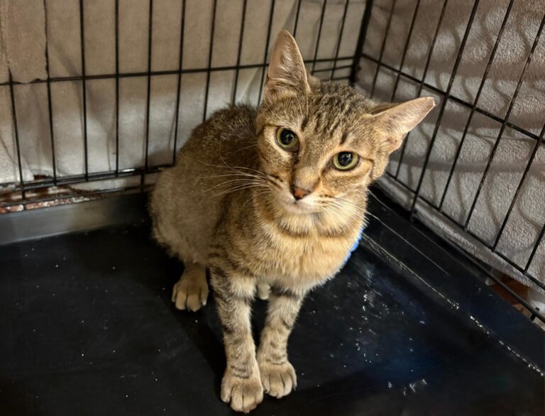 multimedia-foto95457-618-1