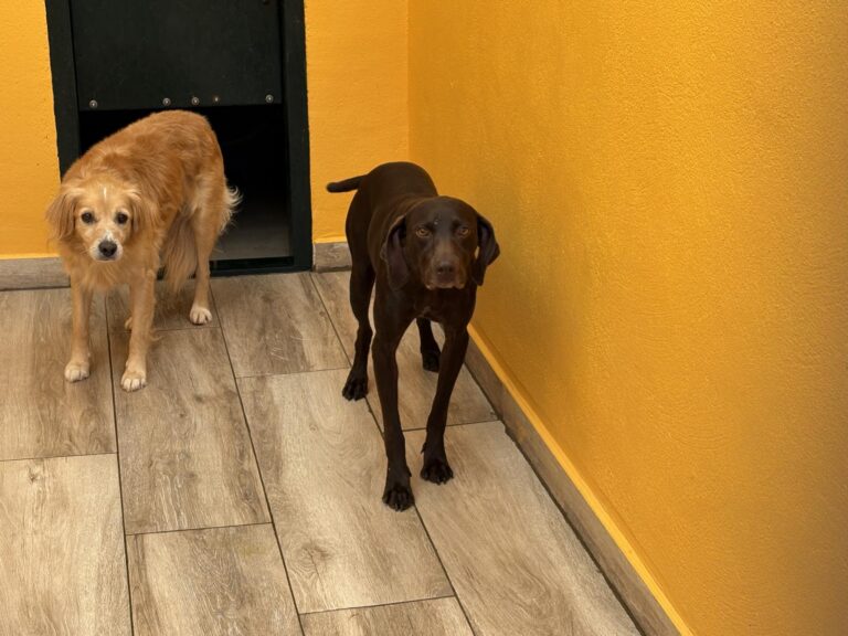 multimedia-foto95465-245-1