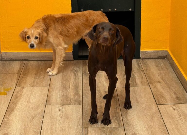 multimedia-foto95466-245-1