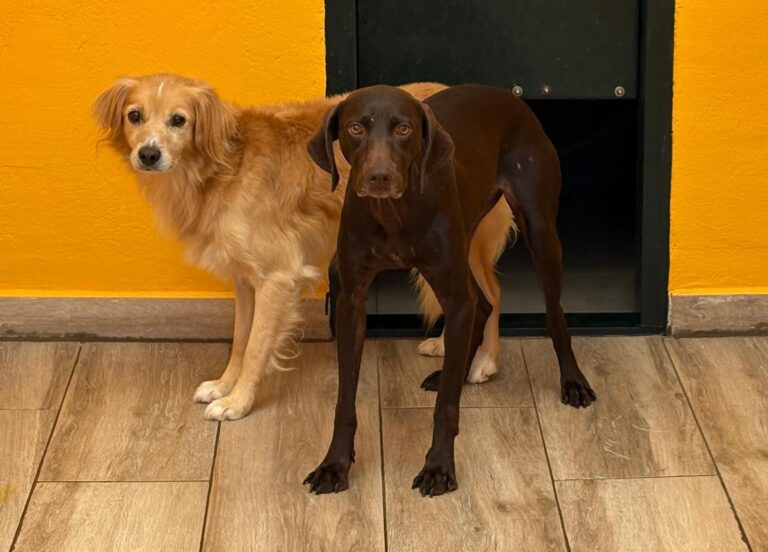 multimedia-foto95467-246-1