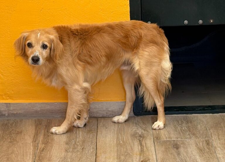 multimedia-foto95468-246-1