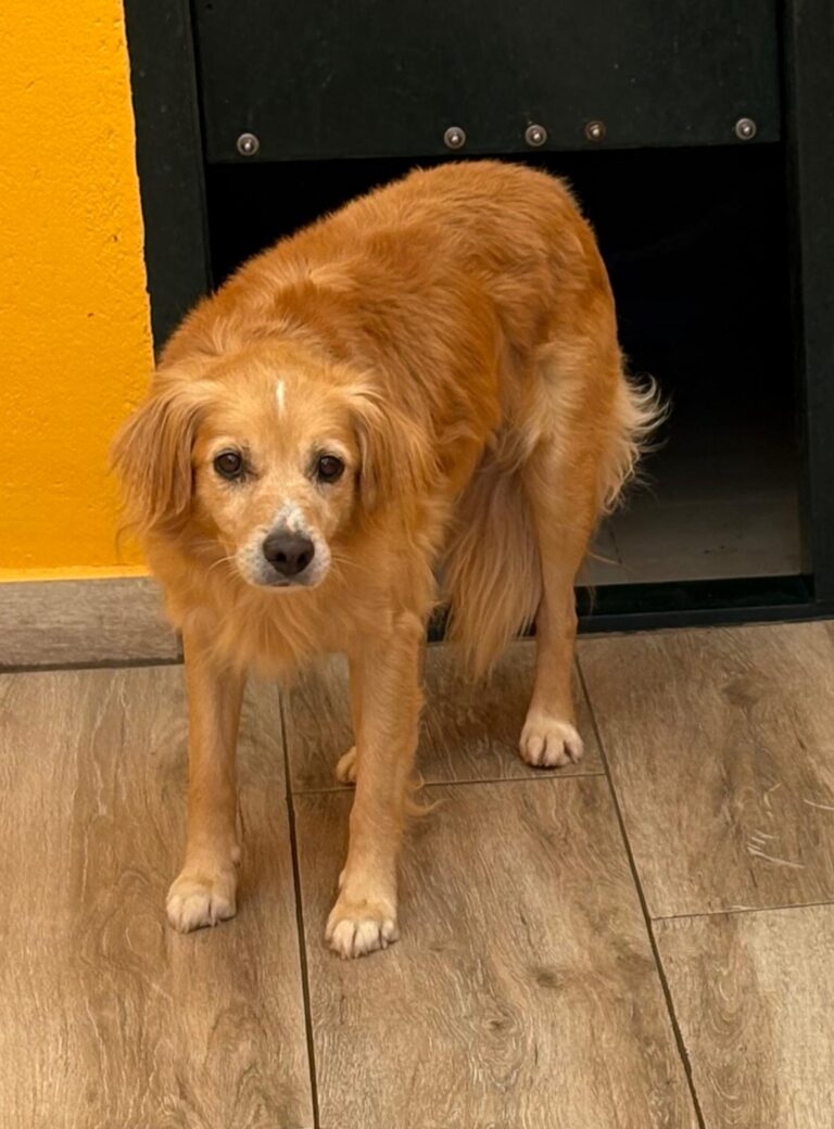 multimedia-foto95469-246-1