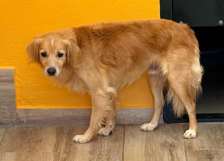 multimedia-foto95470-247-1