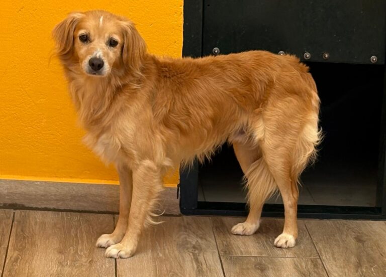 multimedia-foto95471-247-1