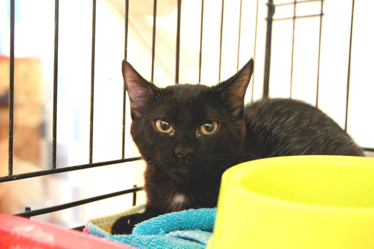 multimedia-foto95480-607-1