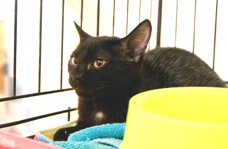 multimedia-foto95481-607-1