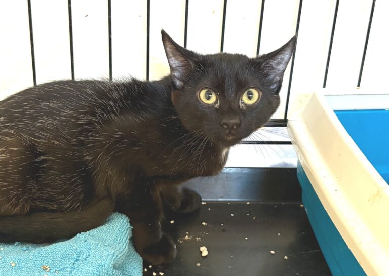 multimedia-foto95482-607-1