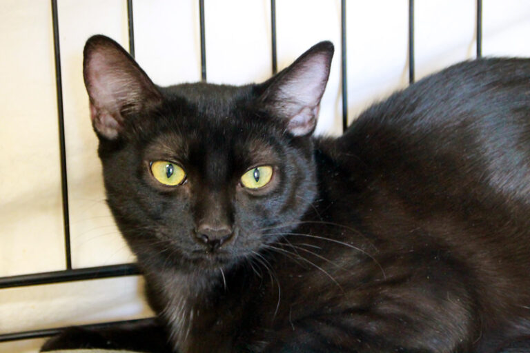 multimedia-foto95495-269-1