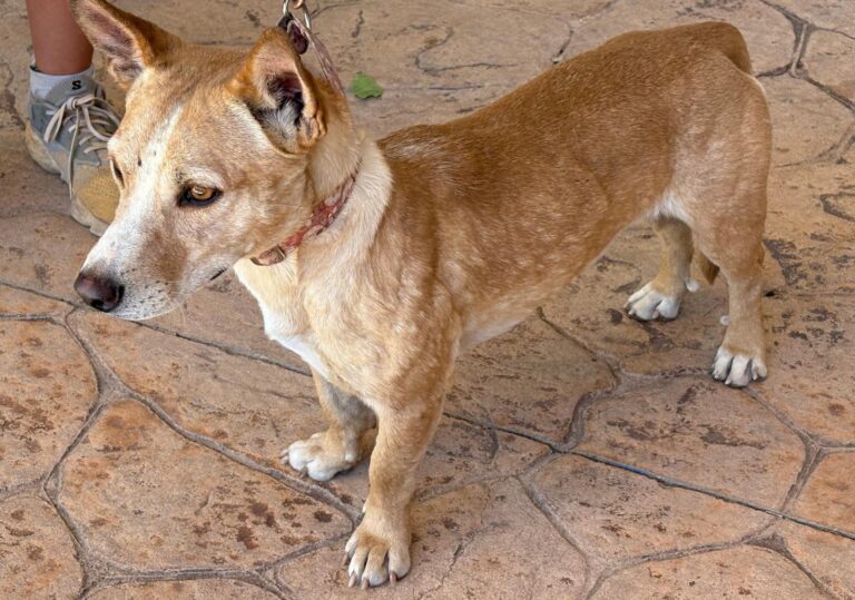 multimedia-foto95505-10-1