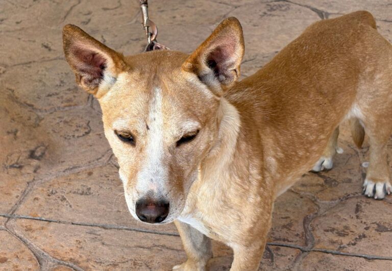 multimedia-foto95506-10-1