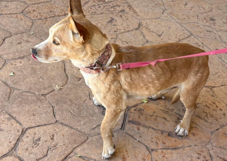 multimedia-foto95507-10-1