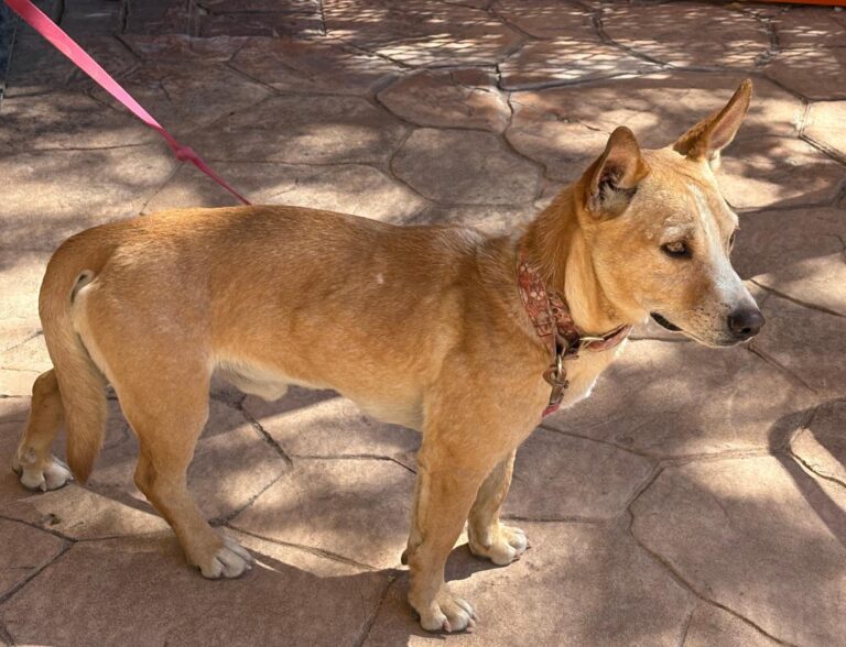 multimedia-foto95508-10-1