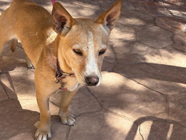 multimedia-foto95509-11-1