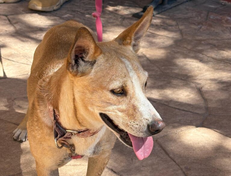 multimedia-foto95510-11-1