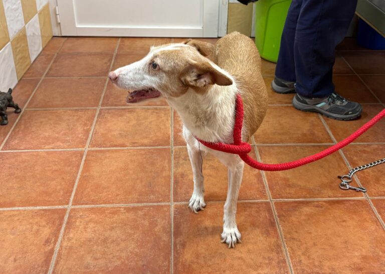 multimedia-foto95513-560-1