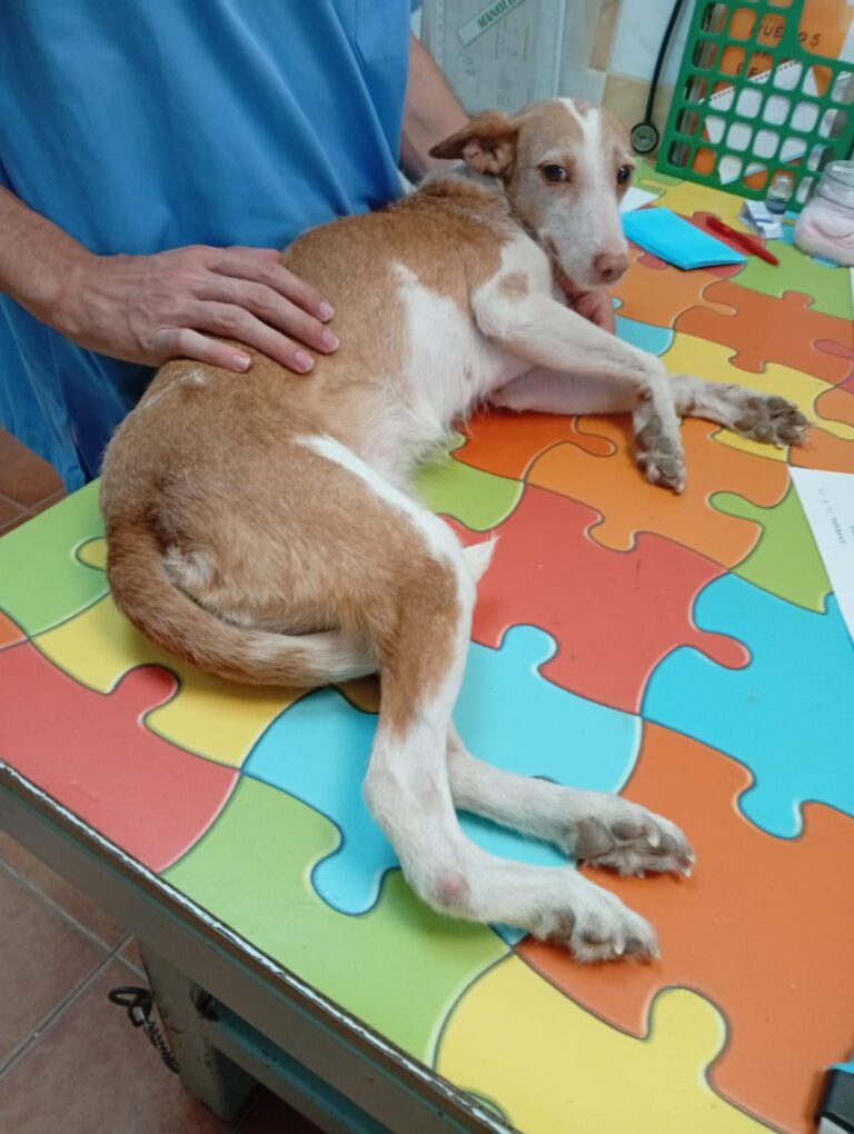 multimedia-foto95518-638-1