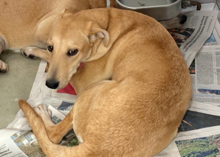 multimedia-foto95532-881-1