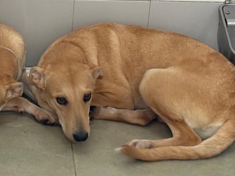 multimedia-foto95533-881-1