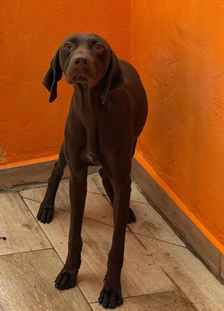 multimedia-foto95551-181-1