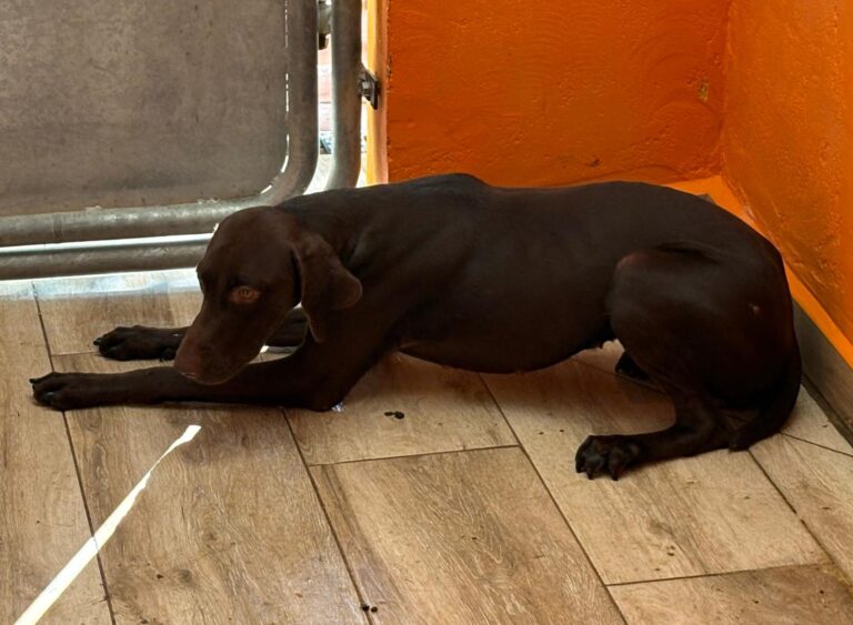 multimedia-foto95553-182-1