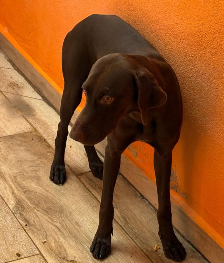 multimedia-foto95554-182-1