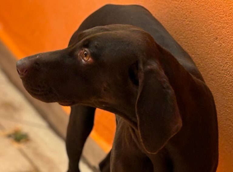 multimedia-foto95556-183-1