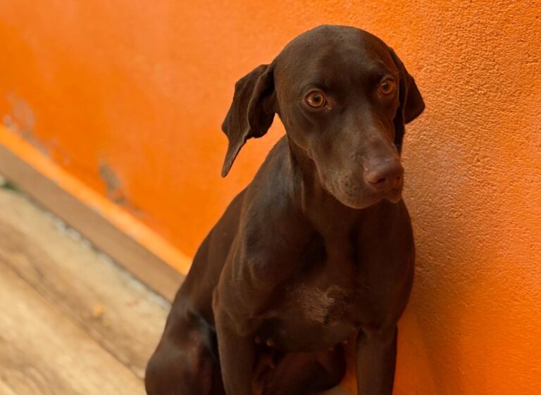 multimedia-foto95557-183-1