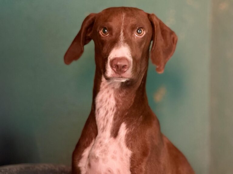 multimedia-foto95560-174-1