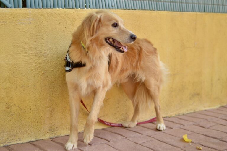 multimedia-foto95561-220-1