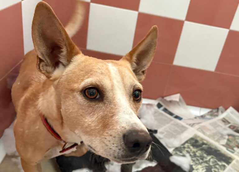 multimedia-foto95565-573-1