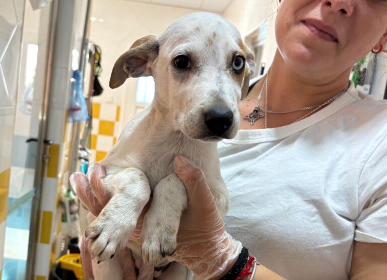 multimedia-foto95578-55-1